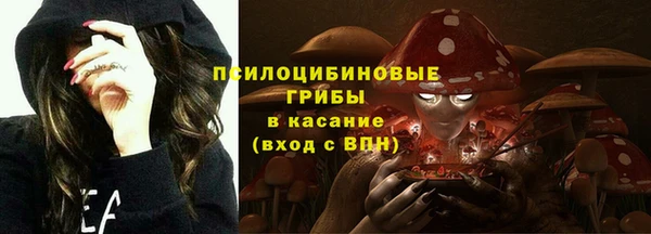 гидропоника Бородино