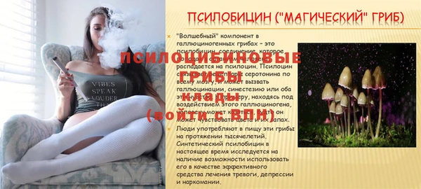 а пвп мука Бронницы