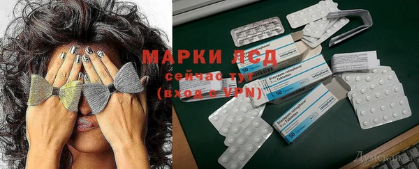 гидропоника Бородино