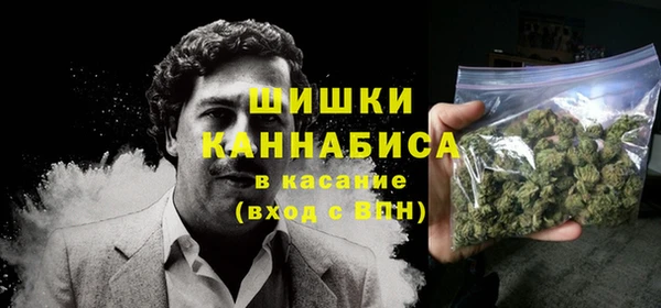 стаф Вязники